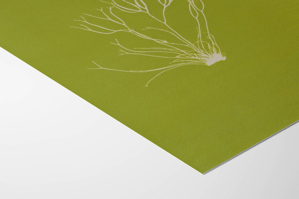 Ghost Sprig - Rebel Rebel