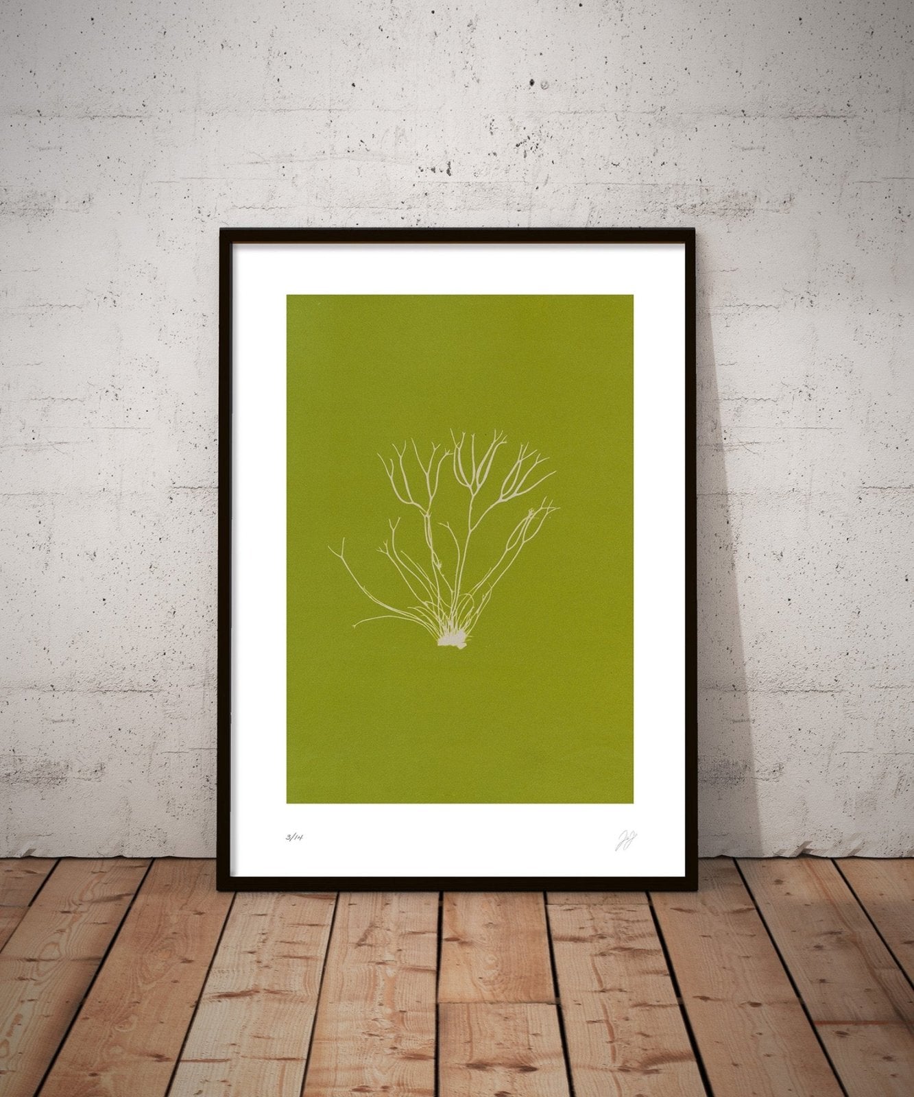 Ghost Sprig - Rebel Rebel