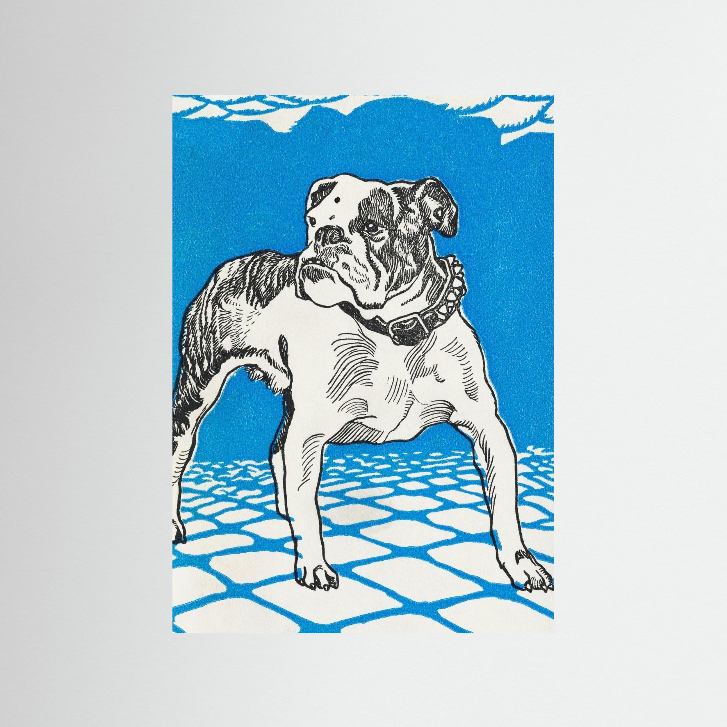 Spikey - The Bulldog