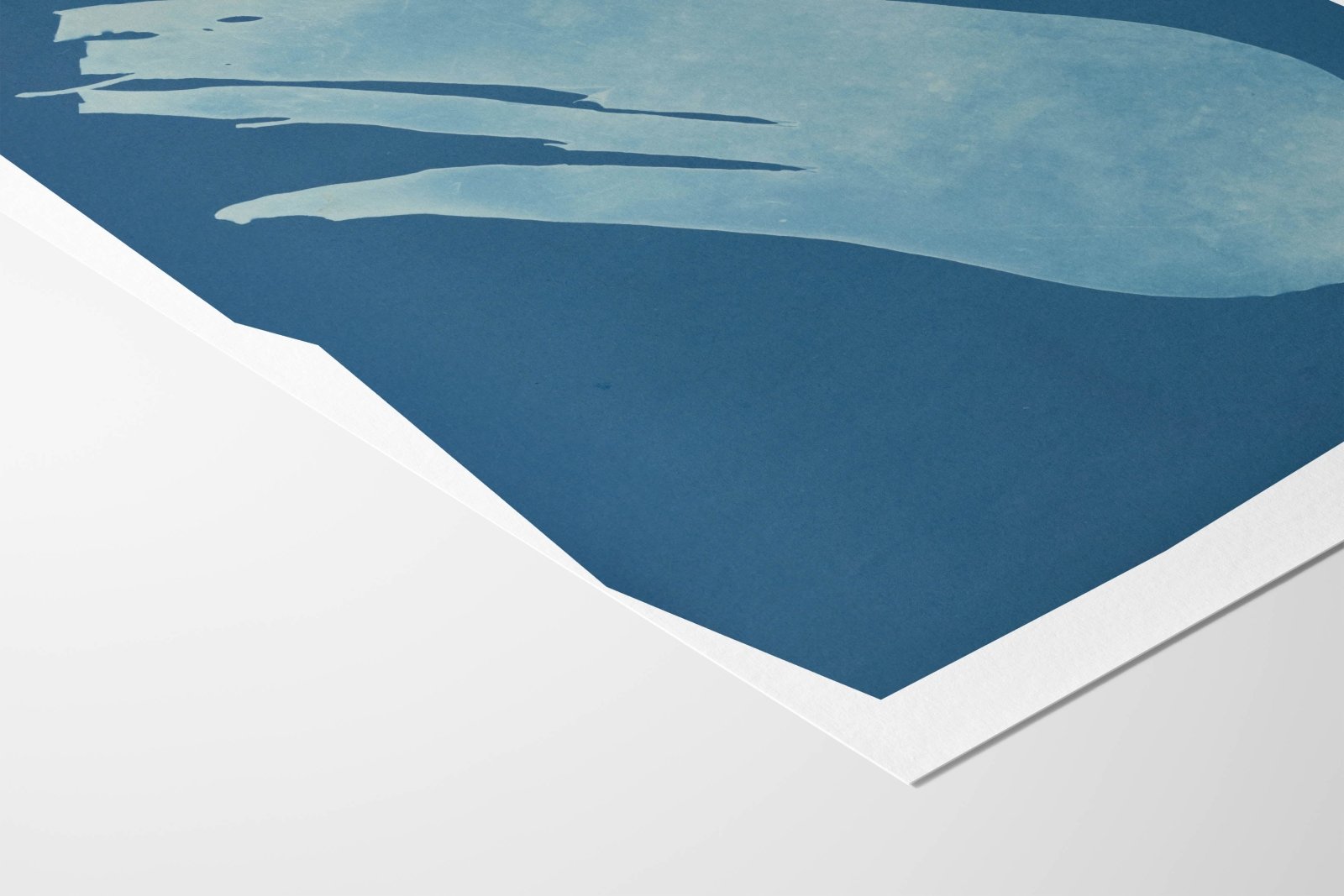 Salt Bloom - Rebel Rebel