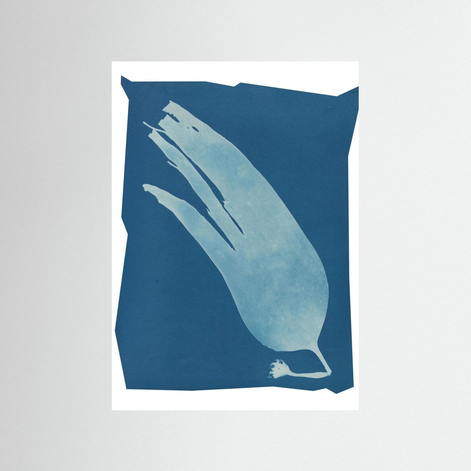 Salt Bloom - Rebel Rebel